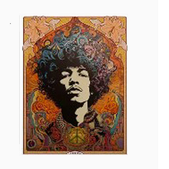 Jimi Hendrix Inspired Psychadelic Canvas Poster, Unframed